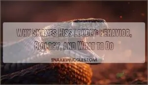 why snakes hiss loudly why snakes hiss loudly