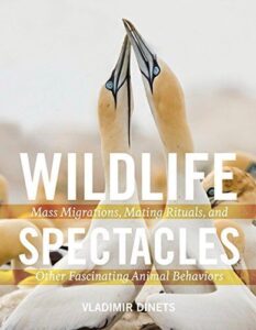 Wildlife Spectacles: Mass Migrations, Mating 1604696710