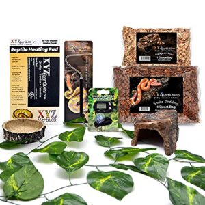 XYZReptiles Boa Constrictor Habitat 10 B082ZVCL8Z