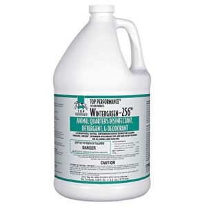 256 Pet Disinfectant Color: Wintergreen B005N2DGJW