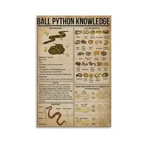 apular 12x18 IN Ball Python B0C3D1HH83