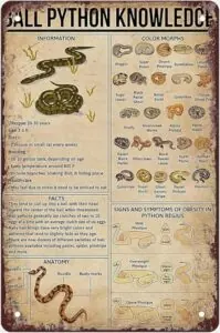 Ball Python Knowledge Poster Color B0FK5VCLNR