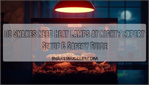 Image showcasing Do Snakes Need Heat Lamps at Night? Expert Setup & Safety Guide