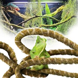 Duspro 10FT Reptile Vines for B0B3XC33R5