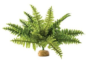 Exo Terra,Reptiles, Amphibians Boston Fern B001B57KZ6