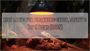 heat lamps for beginners heat lamps for beginners