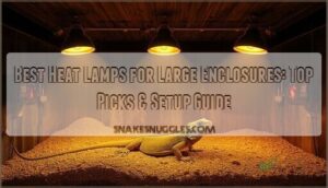 heat lamps for large enclosures heat lamps for large enclosures