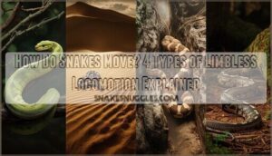 how do snakes move how do snakes move