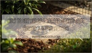 how to get rid of a garter snake how to get rid of a garter snake