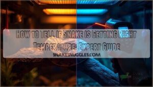 how to tell if snake is getting right temperature