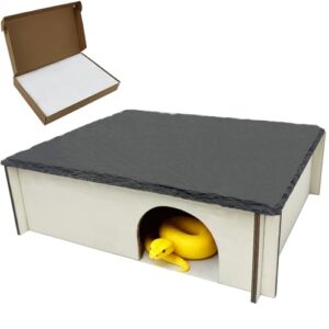 Large Snake Hide with Slate B0FGK3XYDK