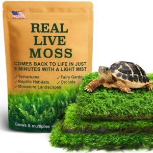 Live Moss Variety Pack for B0D6LGV758