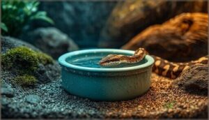 placement in the enclosure for accessibility placement in the enclosure for accessibility