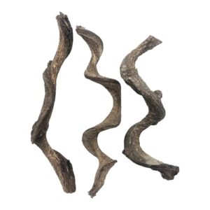 Reptile Decor 3PCS Natural Forest B09X6MVN7X