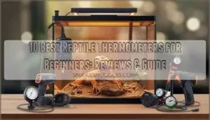reptile thermometers for beginners