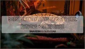 snake heating pads for ball pythons snake heating pads for ball pythons