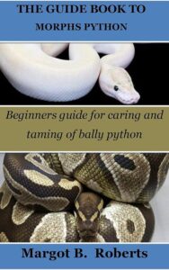 THE GUIDE BOOK TO MORPHS B0BW9HLJ11