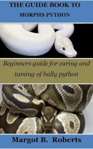 THE GUIDE BOOK TO MORPHS B0BW9HLJ11