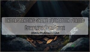 understanding snake brumation period