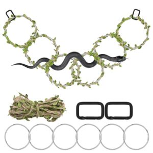 1+1 Small Snake Enrichment Rings B0FWC28JVN