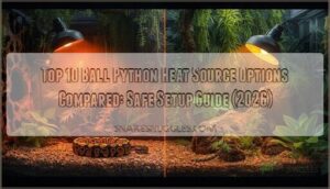 ball python heat source options ball python heat source options