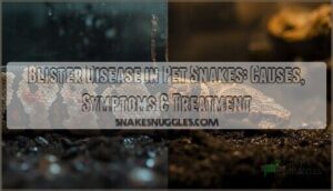 blister disease pet snakes