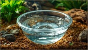 bpa-free plastic options bpa-free plastic options