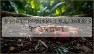 coral snakes a species profile with pictures and bite information coral snakes a species profile with pictures and bite information