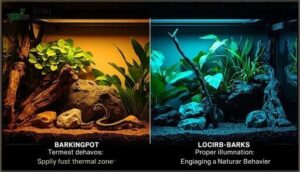 enhancing the terrarium environment with lighting enhancing the terrarium environment with lighting