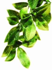 Exo Terra Plastic Terrarium Plant, B0002AR5DI