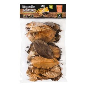 Galapagos (05150) Natural Magnolia Leaf B087WJF92B