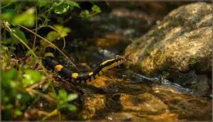 garter snake: active and social pet garter snake: active and social pet