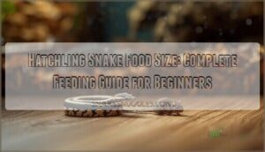 hatchling snake food size