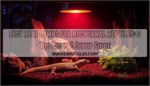 heat lamps for nocturnal reptiles heat lamps for nocturnal reptiles