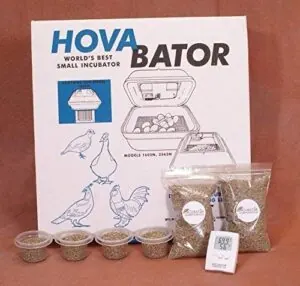Hova Bator Still Air Egg Incubator B01993WFHE