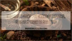 impaction signs pet snake