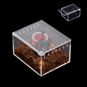 Insect breeding Box Reptile Feeding B0CSYCS8WG