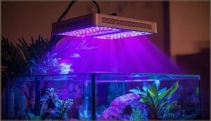 key features of compact uvb lighting key features of compact uvb lighting