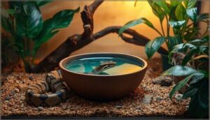 key features to look for in snake water bowls key features to look for in snake water bowls