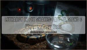 lethargy in pet snakes lethargy in pet snakes