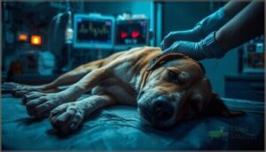 neurological and systemic reactions neurological and systemic reactions