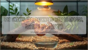 pet snakes for beginners pet snakes for beginners