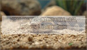 petco hognose snakes petco hognose snakes