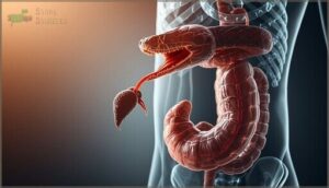 regurgitation explained regurgitation explained