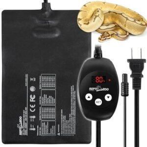 REPTI ZOO 8" X 12" B0D2MJGF49