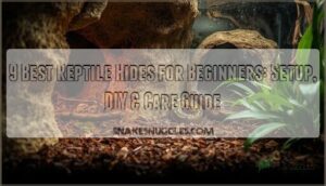 reptile hides for beginners reptile hides for beginners
