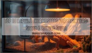 reptile thermostats for beginners