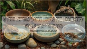 reptile water bowls for beginners
