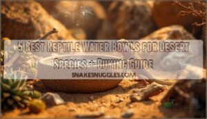 reptile water bowls for desert species reptile water bowls for desert species