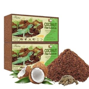Riare 2 Pack Natural Coconut B0BTM9T565